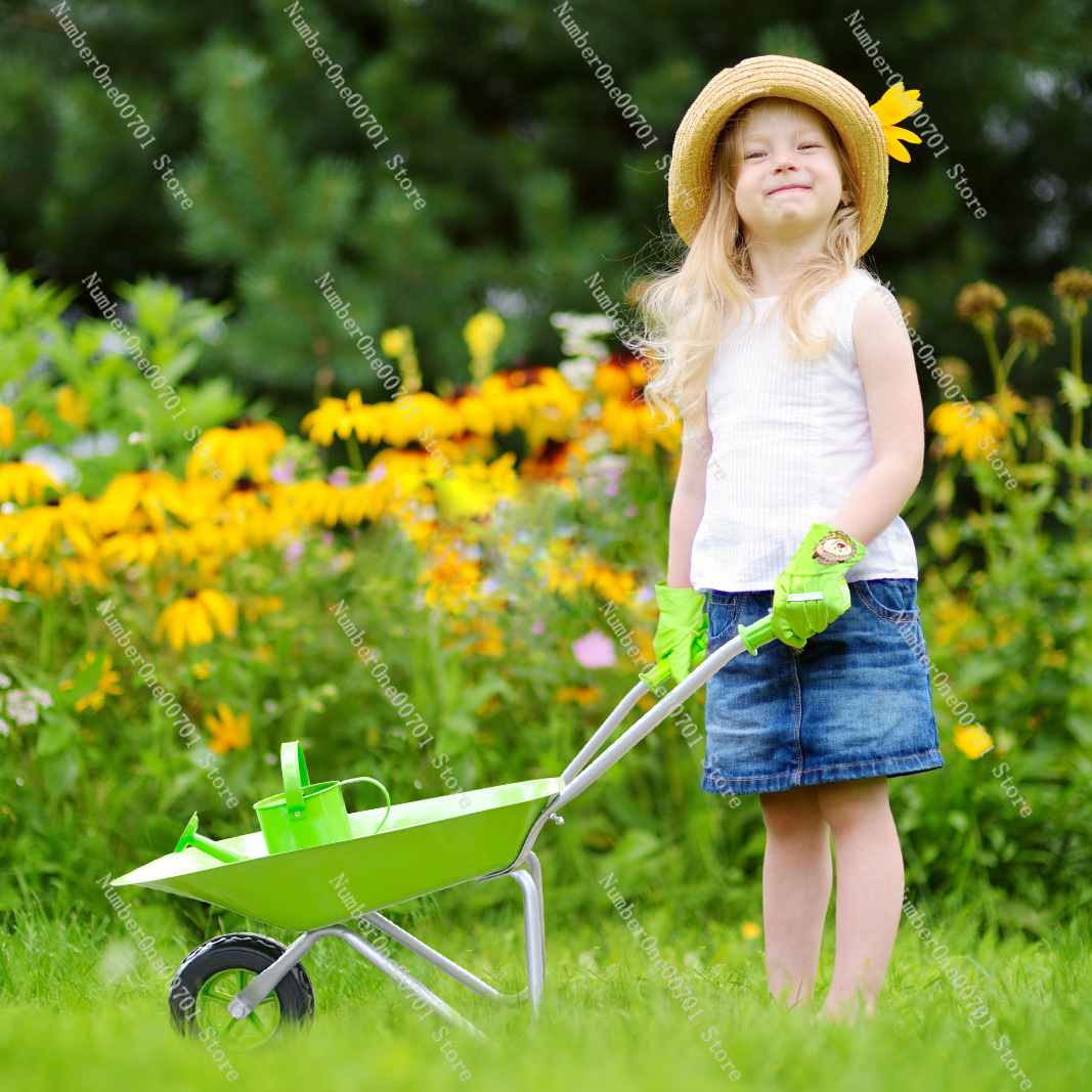 Carretilla de Jardín para Niño - Kids Outdoor Playset reseña y precio